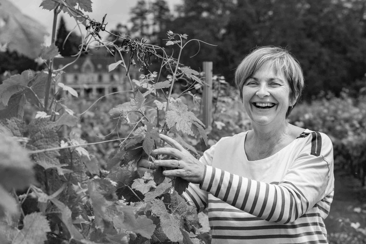 Couleurs d'Aquitaine (HVE)