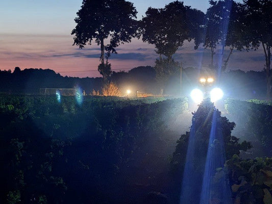 De vroegste oogst sinds de tellingen bij Domaine Lalaurie