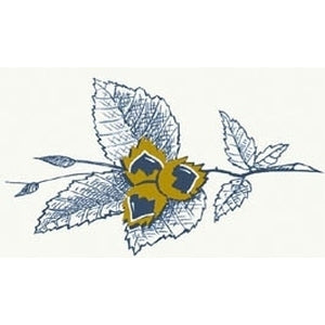 (BARRE)  Domaine de Pajot (BIO)