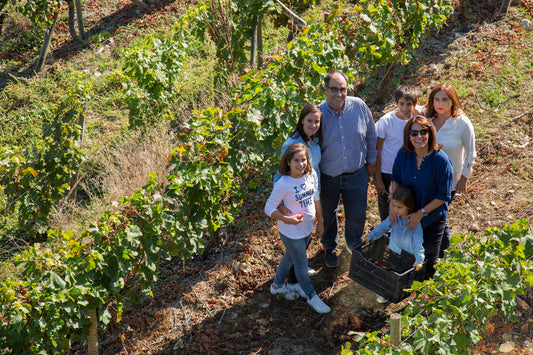 BODEGAS Gallegas