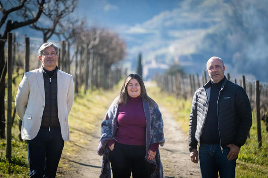 Pacheca Group Portugal