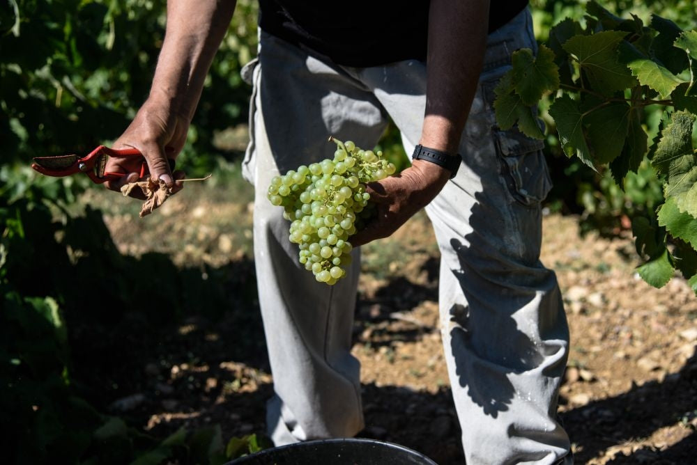 Cusivins (BIO)