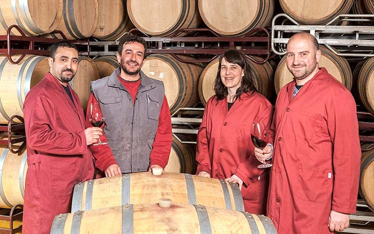 Terra Cellars