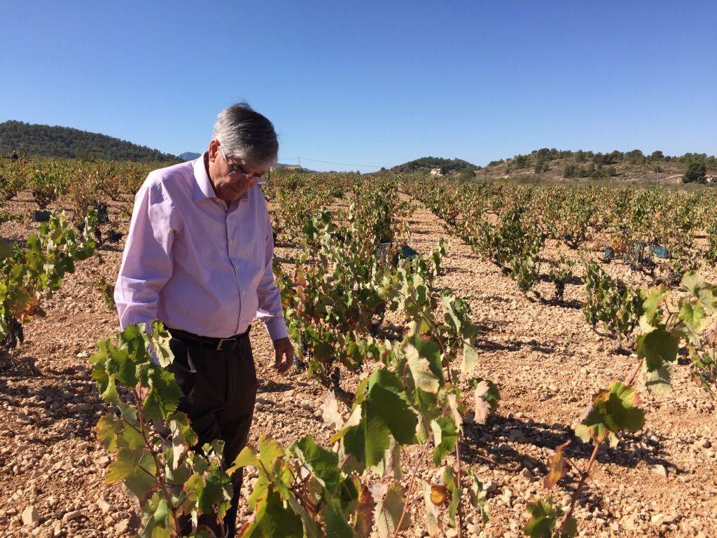 Venta La Vega (MG Wines)(BIO)