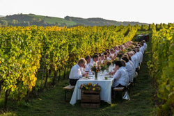 Domaines Vinsmoselle