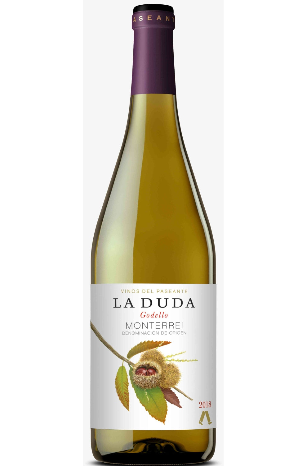 Paseante DO wine of spain 'La Duda' Godello (BIO)
